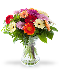 Bouquet di gerbere