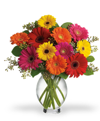 Bouquet di gerbere colorate