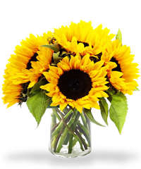 Bouquet di girasoli