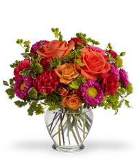 Bouquet brioso ed elegante