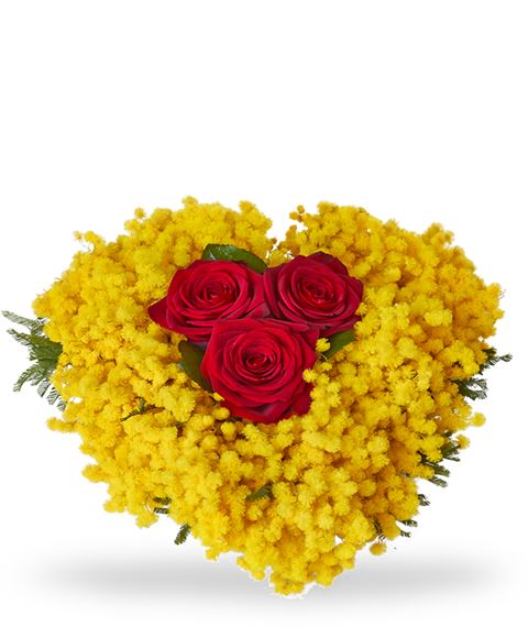 Cuore di mimosa